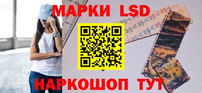 прущие грибы Волжский