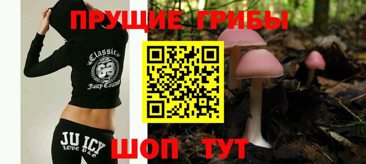 Псилоцибиновые грибы GOLDEN TEACHER  Вход с VPN  Канск 